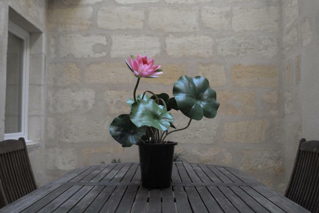 Millesime St Remi Apartment Bordeaux Luaran gambar